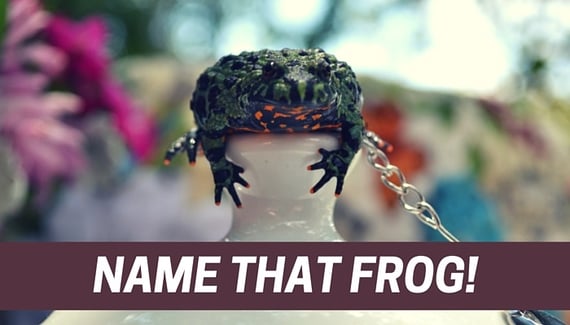 Name That Frog